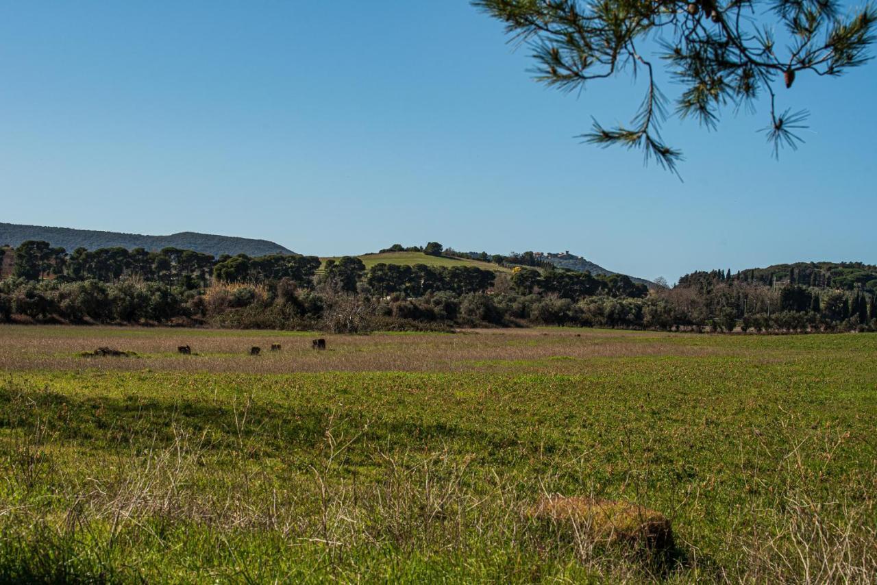 Poggio All'Agnello Sport & Active Holidays Populonia Εξωτερικό φωτογραφία